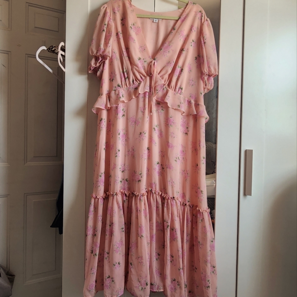Target 🎯 LoveShackFancy Pink Floral Dress